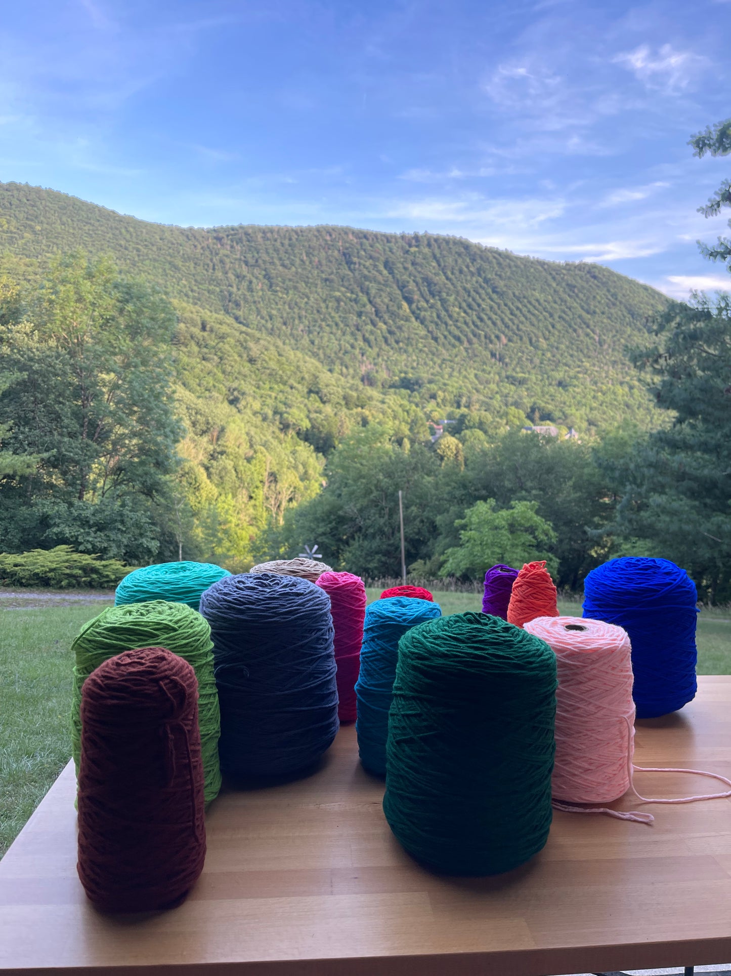 Initiation au Tufting à Domicile 🏡