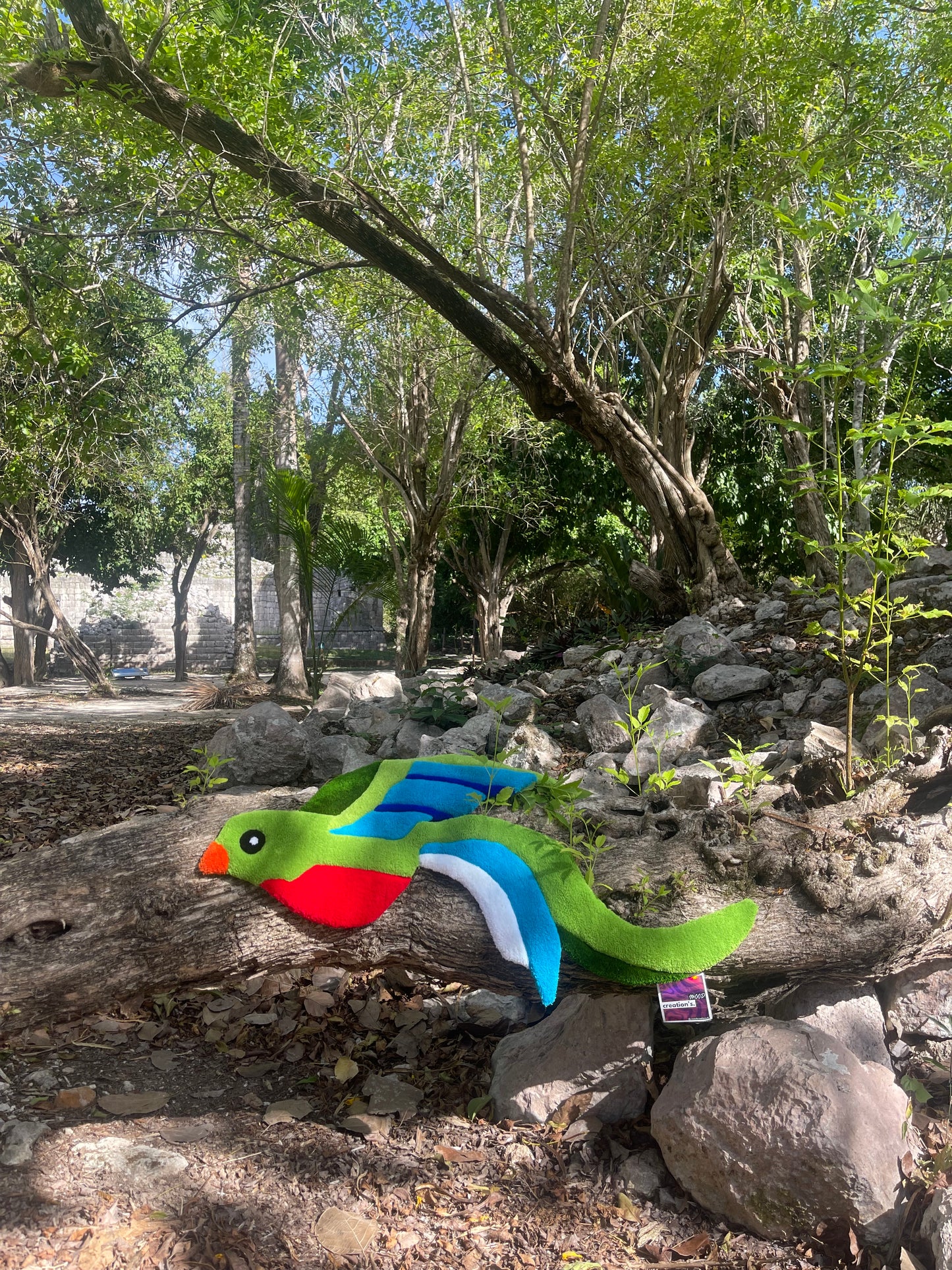 Quetzal ©️